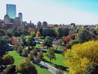 Illustration for article titled Where in New England Should You Live?